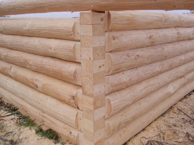 ���������� ���� ���������� ����